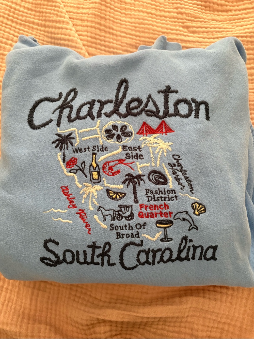 Abercrombie & Fitch Light Blue Charleston Embroidered Hoodie - Picture 4 of 11